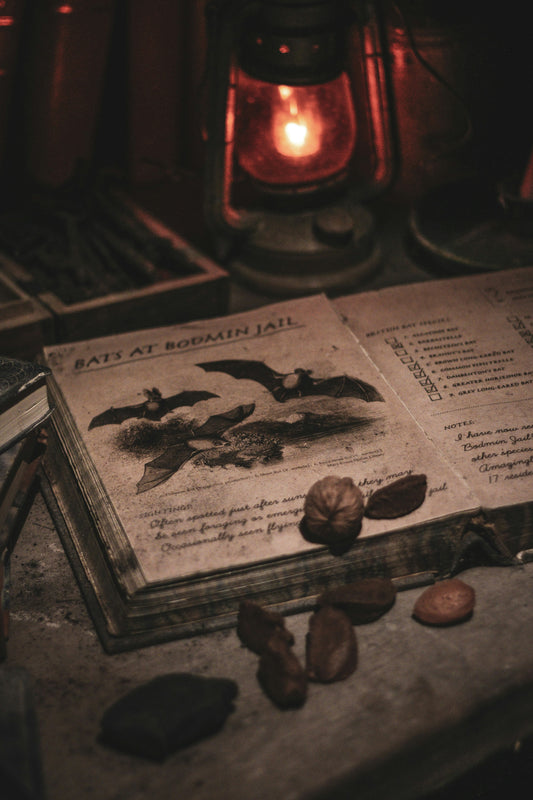 🧿 Custom Protection Spellwork (Aura, Home, or Return to Sender)