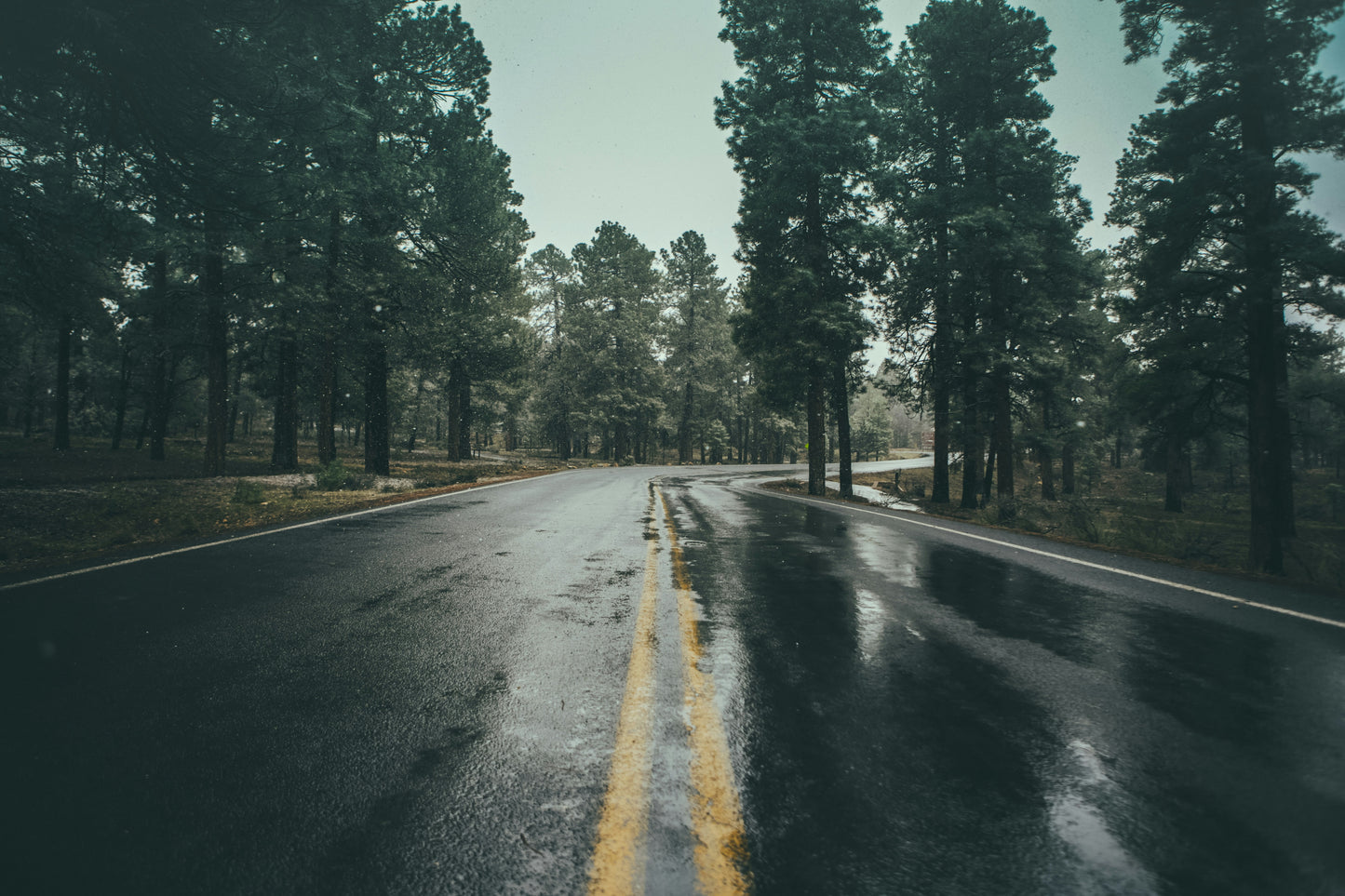🌿 Custom Road Opener Spell Service + Tarot Reading